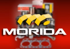 Vivamus mattis pharetra tellus